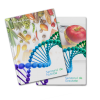 Rapoartele Testelor Genetice ale Pachetului DNA Nutricontrol